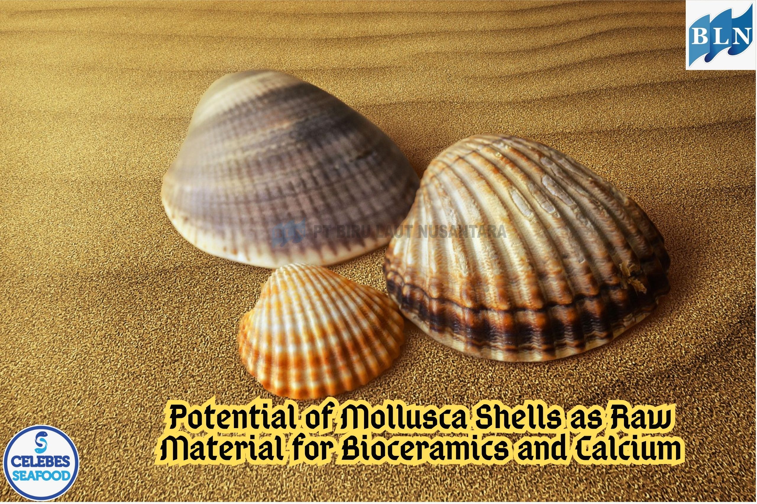 Potential of Mollusca Shells as Raw Material for Bioceramics and Calcium